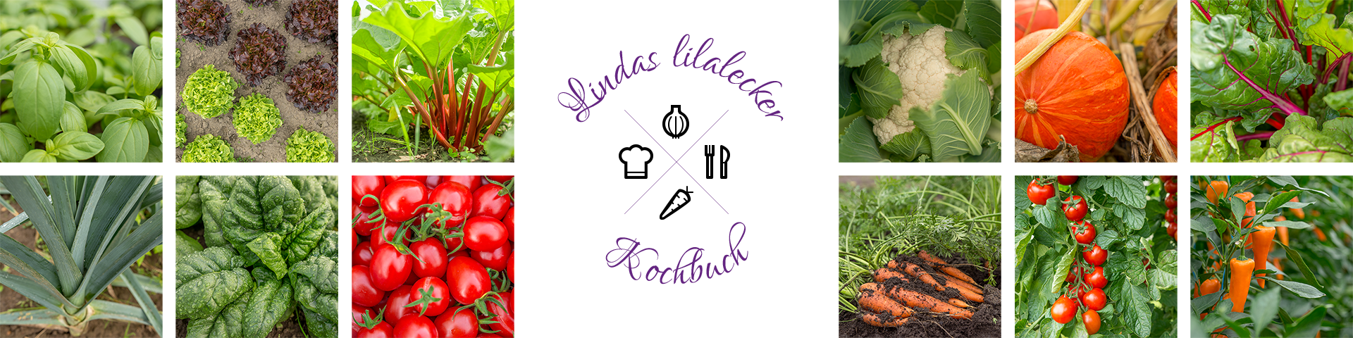 CookBook